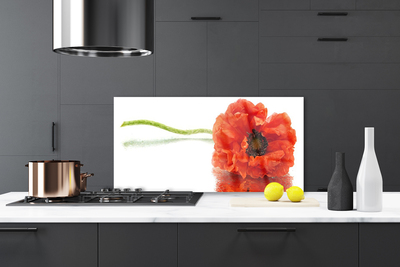 Painel cozinha Flores Natureza Natureza