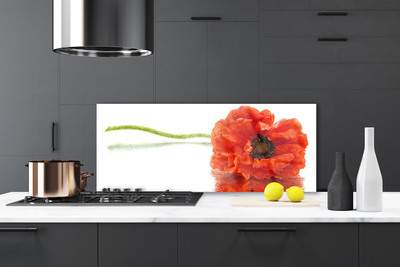 Painel cozinha Flores Natureza Natureza