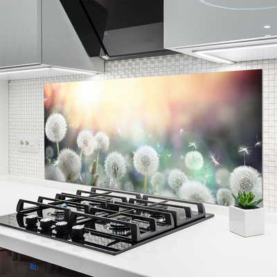 Painel cozinha Flores de dente-de-leão Natureza