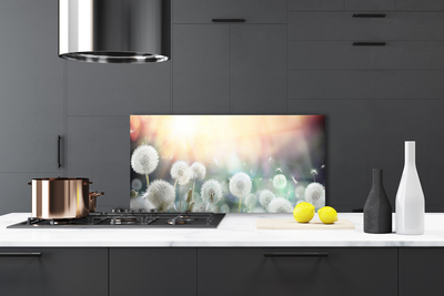 Painel cozinha Flores de dente-de-leão Natureza