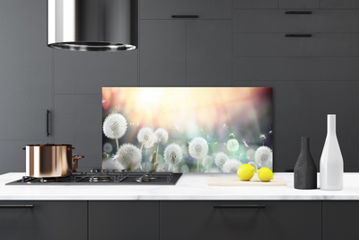 Painel cozinha Flores de dente-de-leão Natureza