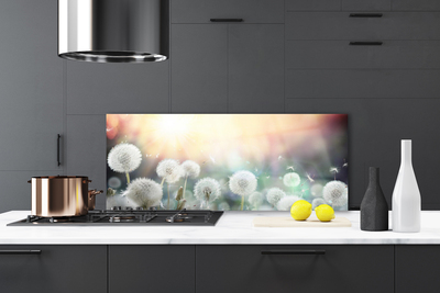 Painel cozinha Flores de dente-de-leão Natureza