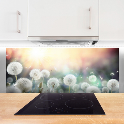 Painel cozinha Flores de dente-de-leão Natureza