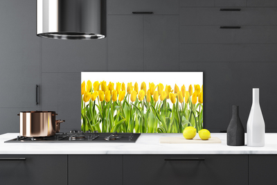 Painel vidro cozinha Tulipas Flores Natureza