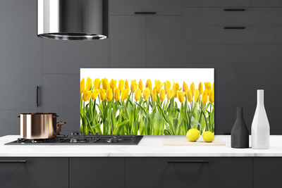 Painel vidro cozinha Tulipas Flores Natureza