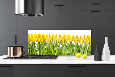 Painel vidro cozinha Tulipas Flores Natureza