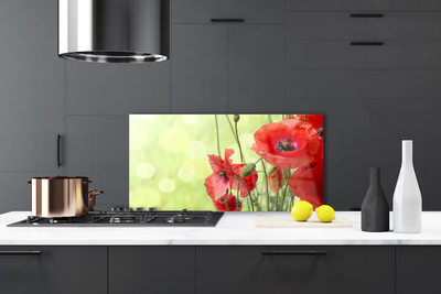 Painel vidro cozinha Papoulas Flores Natureza Planta
