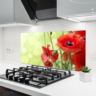 Painel vidro cozinha Papoulas Flores Natureza Planta