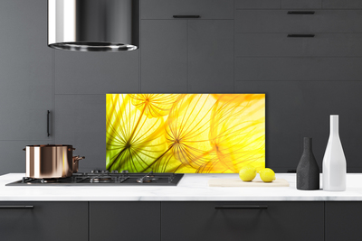 Painel vidro cozinha Flores de dente-de-leão Natureza