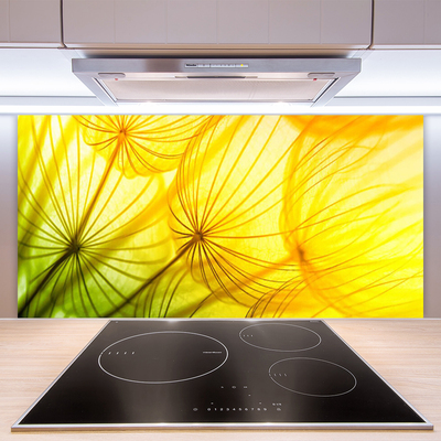 Painel vidro cozinha Flores de dente-de-leão Natureza