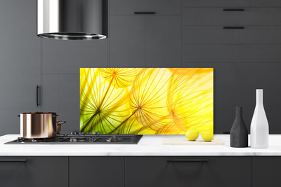 Painel vidro cozinha Flores de dente-de-leão Natureza