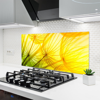 Painel vidro cozinha Flores de dente-de-leão Natureza