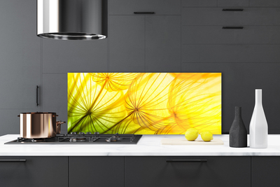 Painel vidro cozinha Flores de dente-de-leão Natureza