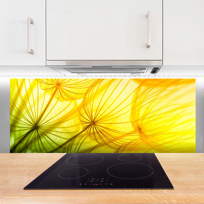 Painel vidro cozinha Flores de dente-de-leão Natureza