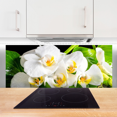 Painel cozinha Flores de orquídeas Natureza