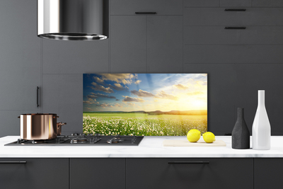 Painel vidro cozinha Paisagem de flores do prado