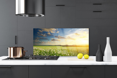 Painel vidro cozinha Paisagem de flores do prado