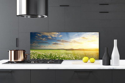 Painel vidro cozinha Paisagem de flores do prado