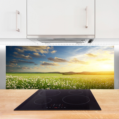 Painel vidro cozinha Paisagem de flores do prado