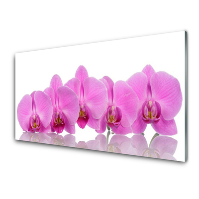 Painel vidro cozinha Flores de orquídea rosa