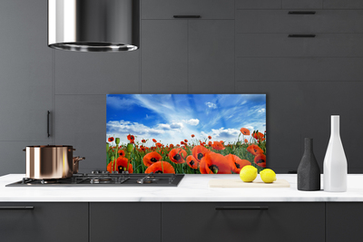 Painel vidro cozinha Flores de papoulas do prado