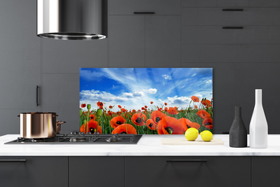 Painel vidro cozinha Flores de papoulas do prado