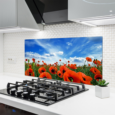 Painel vidro cozinha Flores de papoulas do prado