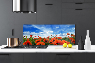 Painel vidro cozinha Flores de papoulas do prado