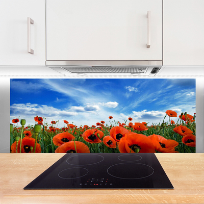 Painel vidro cozinha Flores de papoulas do prado
