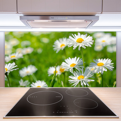 Painel vidro cozinha Planta de flor margarida