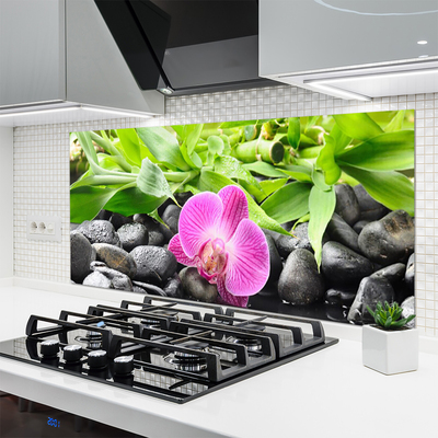 Painel cozinha Flores Orquídea Planta