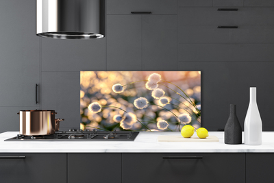 Painel vidro cozinha Flores Planta Natureza