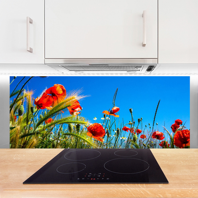 Painel cozinha Flores Papoulas Campo Grama