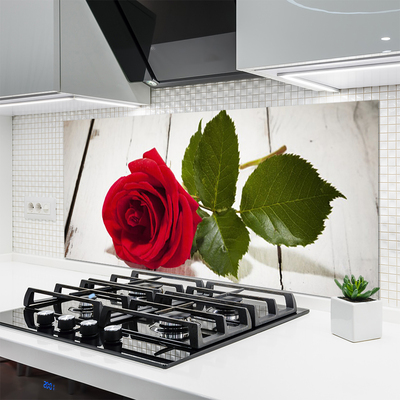 Painel vidro cozinha Rosa Flor Planta Natureza