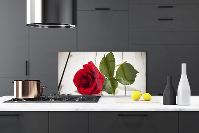 Painel vidro cozinha Rosa Flor Planta Natureza