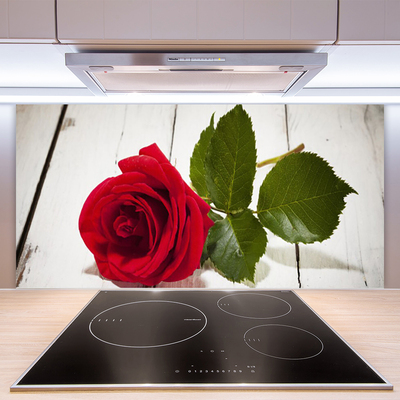 Painel vidro cozinha Rosa Flor Planta Natureza