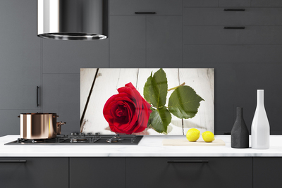 Painel vidro cozinha Rosa Flor Planta Natureza