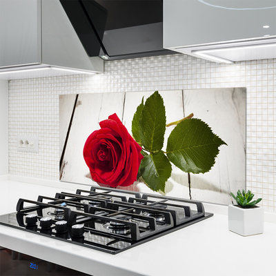 Painel vidro cozinha Rosa Flor Planta Natureza