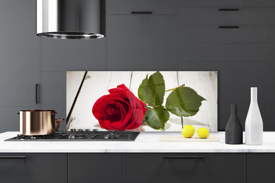 Painel vidro cozinha Rosa Flor Planta Natureza