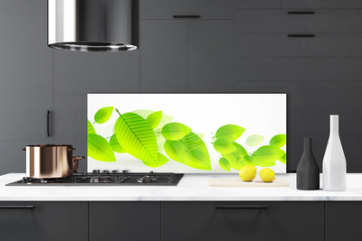 Painel vidro cozinha Folhas Flores Natureza