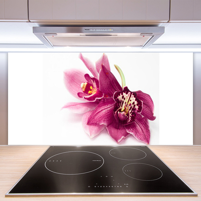 Painel vidro cozinha Flores Planta Natureza