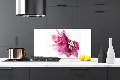 Painel vidro cozinha Flores Planta Natureza