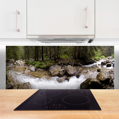 Painel cozinha Cachoeiras do Rio da Floresta