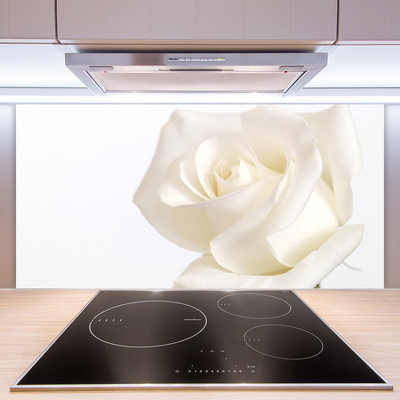 Painel vidro cozinha Flores de rosas