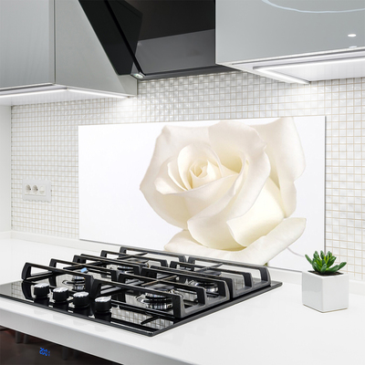 Painel vidro cozinha Flores de rosas