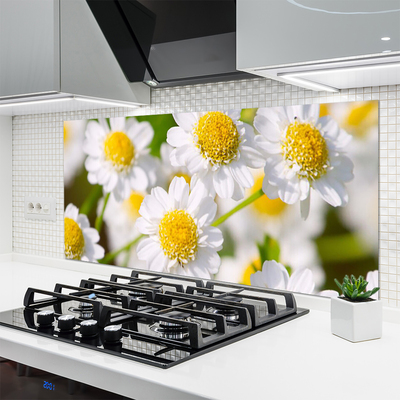 Painel cozinha Flores Margarida Natureza