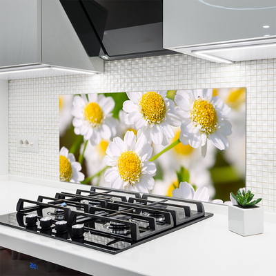 Painel cozinha Flores Margarida Natureza