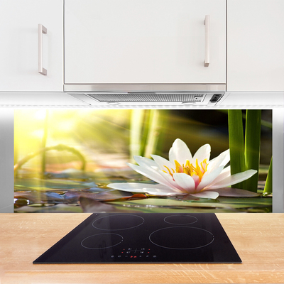 Painel vidro cozinha Flor de lírio d'água