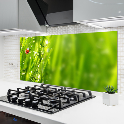 Painel cozinha Joaninha Natureza Grama