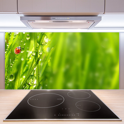 Painel cozinha Joaninha Natureza Grama